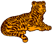 TO MY TIGER I LOVE YOU